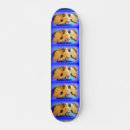 Pesquisar por águias skates Patriotismo