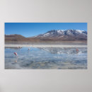 Pesquisar por bolivia pôsteres Salar de uyuni