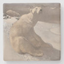 Pesquisar por urso polar porta copos ilustração