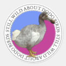 Pesquisar por pássaro do dodo Pássaros