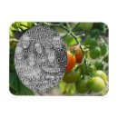 Pesquisar por tomate imas Jardim