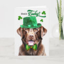 Pesquisar por chocolate labrador retriever cartoes Cachorros