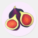 Pesquisar por figuras adesivos Figos