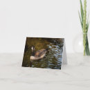 Pesquisar por aves aquáticas cartoes Fotografia