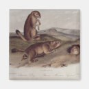 Pesquisar por quadruped John