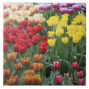 Pesquisar por baixo azulejos Vermelho