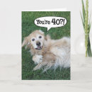 Pesquisar por retenção cartoes Engraçado