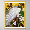 Pesquisar por pavão pôsteres Branco