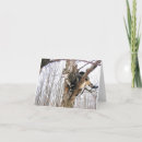 Pesquisar por tigre branco cartoes Animal