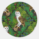 Pesquisar por samambaia adesivos Botânica