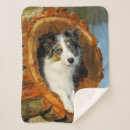 Pesquisar por border collie cobertores Animal