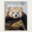 Pesquisar por panda animal agendas Urso
