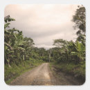 Pesquisar por remote adesivos Natureza