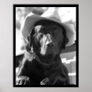 Pesquisar por chapéu de vaqueiro pôsteres Texas