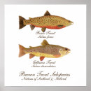 Pesquisar por com celta artes pôsteres Ireland