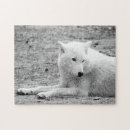 Pesquisar por lobo branco quebra cabecas Natureza