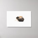 Pesquisar por gato branco bonito impressão de canvas Fotografia do gato