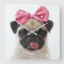 Pesquisar por funny relogios de parede Pet