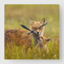 Pesquisar por raposa a relogios de parede Qualquer pessoa