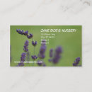 Pesquisar por berçário cartao de visita Verde