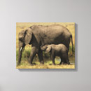Pesquisar por arte africana impressão de canvas Pássaro