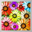 Pesquisar por gerberas pósteres pôsteres Flores coloridas