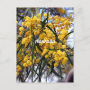 Pesquisar por flores australianas cartoes postais Verde