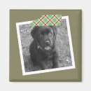 Pesquisar por um quadro imas Costume