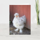 Pesquisar por furado cartoes Engraçado