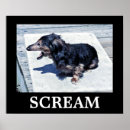 Pesquisar por dog pôsteres Motivational