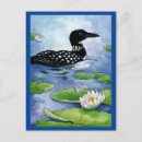 Pesquisar por galinha selvagem cartoes postais Aquarela