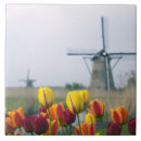 Pesquisar por moinho azulejos Tradicional