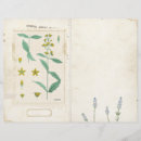 Pesquisar por álbuns páginas Natureza