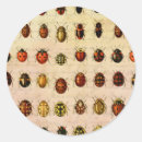 Pesquisar por ladybird adesivos Joaninha
