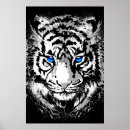 Pesquisar por tigres brancos pôsteres For her
