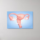 Pesquisar por sistema reprodutivo impressão de canvas Trabalho de arte