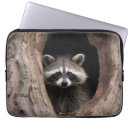 Pesquisar por racoon eletronicos Floresta