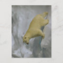 Pesquisar por svalbard cartoes postais Gelo