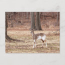 Pesquisar por jovens cartoes Foto