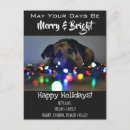 Pesquisar por gato natal cartoes postais Cão