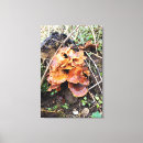 Pesquisar por tronco impressão de canvas Floresta