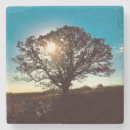 Pesquisar por carvalho porta copos Fotografia