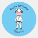 Pesquisar por kung fu adesivos Desenho animado