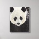 Pesquisar por o gigante impressão de canvas Fotos dos animais selvagens