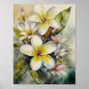 Pesquisar por plumeria pôsteres Havaiano