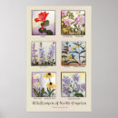 Pesquisar por vintage b artes pôsteres Floral