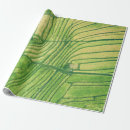 Pesquisar por arroz papel de presente Verde
