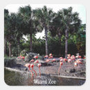 Pesquisar por flamingo adesivos Florida