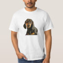 Pesquisar por de cabelo marrom camisetas Dachshund