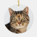 Pesquisar por animais estimação memoriais ornamentos Branco